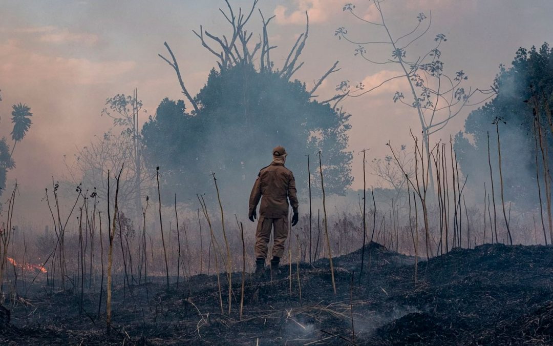 Hay tres sospechosos de causar incendios en la Amazonia